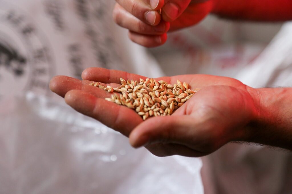 The parable of the sower summary