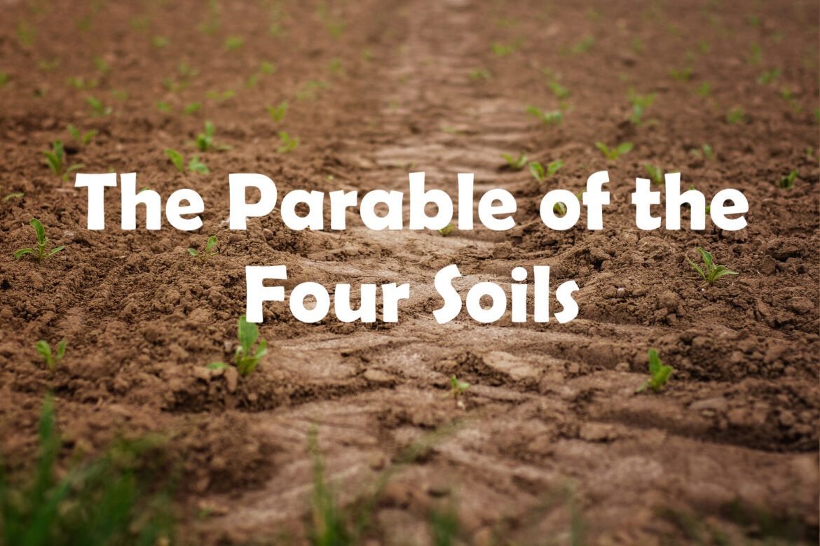 The parable of the sower summary The parable of the sower summary